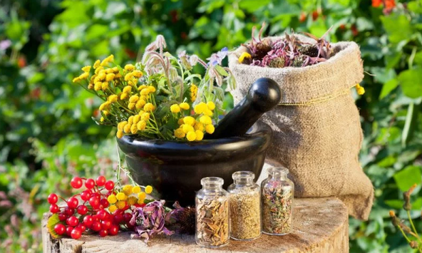 Gyógynövények a helmintákból